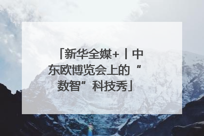 新华全媒+丨中东欧博览会上的“数智”科技秀