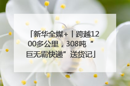 新华全媒+丨跨越1200多公里，308吨“巨无霸快递”送货记