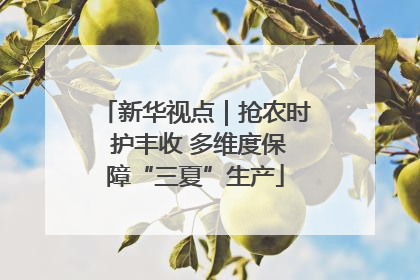 新华视点｜抢农时 护丰收 多维度保障“三夏”生产
