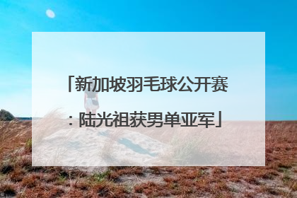 新加坡羽毛球公开赛：陆光祖获男单亚军