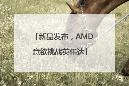 新品发布，AMD意欲挑战英伟达