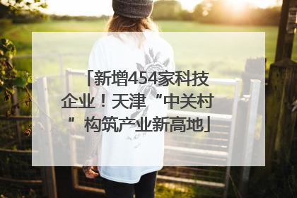 新增454家科技企业！天津“中关村”构筑产业新高地