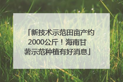 新技术示范田亩产约2000公斤！海南甘薯示范种植有好消息