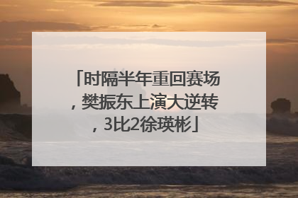时隔半年重回赛场，樊振东上演大逆转，3比2徐瑛彬