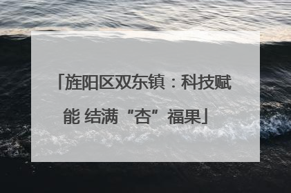 旌阳区双东镇：科技赋能 结满“杏”福果