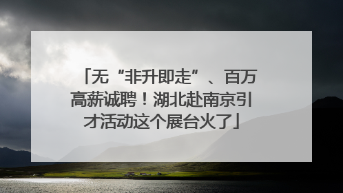 无“非升即走”、百万高薪诚聘！湖北赴南京引才活动这个展台火了