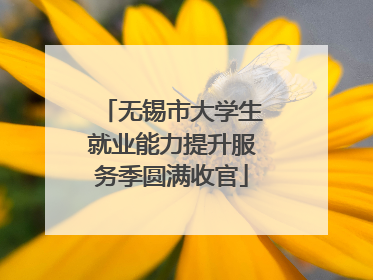 无锡市大学生就业能力提升服务季圆满收官
