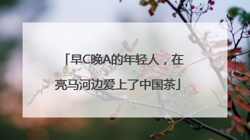 早C晚A的年轻人，在亮马河边爱上了中国茶