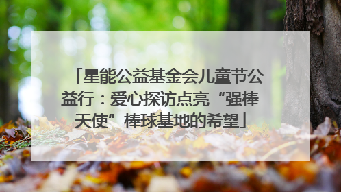 星能公益基金会儿童节公益行：爱心探访点亮“强棒天使”棒球基地的希望