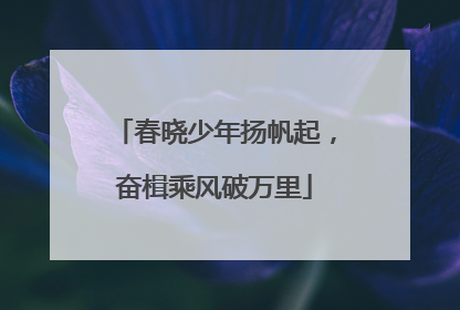春晓少年扬帆起，奋楫乘风破万里