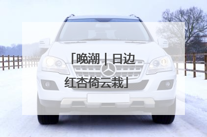 晚潮｜日边红杏倚云栽