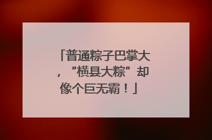 普通粽子巴掌大，“横县大粽”却像个巨无霸！