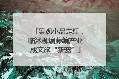 景观小品走红，临沭柳编藤编产业成文旅“新宠”