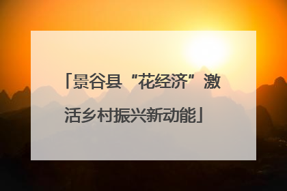 景谷县“花经济”激活乡村振兴新动能