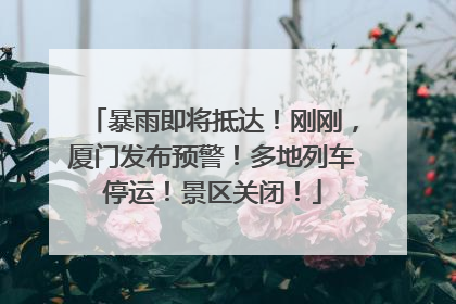暴雨即将抵达！刚刚，厦门发布预警！多地列车停运！景区关闭！