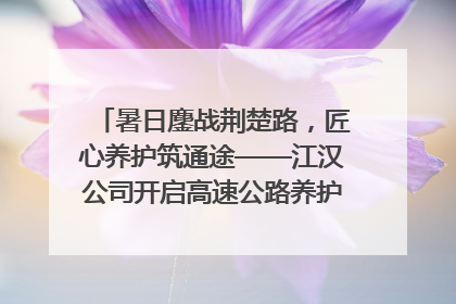 暑日鏖战荆楚路，匠心养护筑通途——江汉公司开启高速公路养护专项工程建设热潮