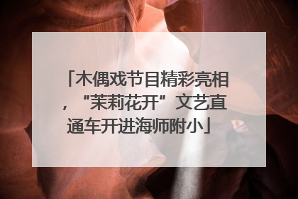木偶戏节目精彩亮相，“茉莉花开”文艺直通车开进海师附小