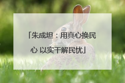 朱成坦：用真心换民心 以实干解民忧