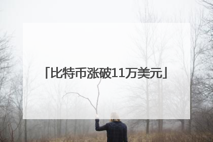 比特币涨破11万美元