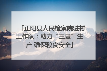 正阳县人民检察院驻村工作队：助力“三夏”生产 确保粮食安全