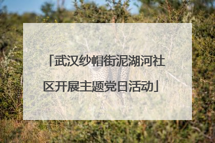 武汉纱帽街泥湖河社区开展主题党日活动