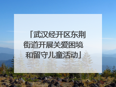 武汉经开区东荆街道开展关爱困境和留守儿童活动