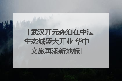 武汉开元森泊在中法生态城盛大开业 华中文旅再添新地标