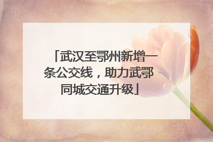 武汉至鄂州新增一条公交线，助力武鄂同城交通升级