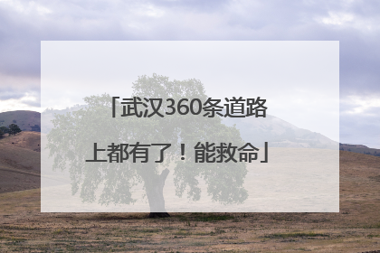 武汉360条道路上都有了！能救命