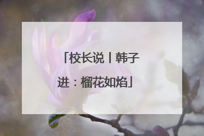 校长说丨韩子进：榴花如焰