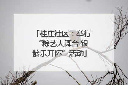 桂庄社区：举行“粽艺大舞台 银龄乐开怀”活动