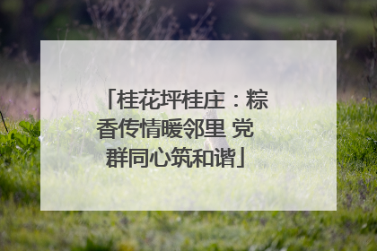 桂花坪桂庄：粽香传情暖邻里 党群同心筑和谐