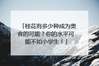 桂花有多少种成为美食的可能？你的水平可能不如小学生！