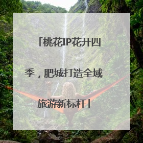 桃花IP花开四季，肥城打造全域旅游新标杆