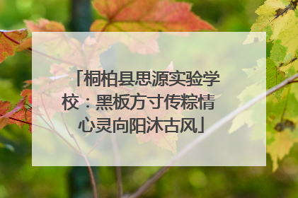 桐柏县思源实验学校：黑板方寸传粽情 心灵向阳沐古风