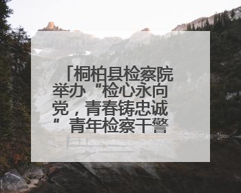 桐柏县检察院举办“检心永向党，青春铸忠诚”青年检察干警“实”迹展示活动