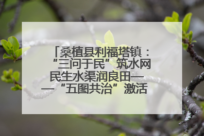 桑植县利福塔镇：“三问于民”筑水网 民生水渠润良田——“五图共治”激活基层治理新动能