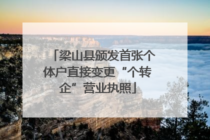 梁山县颁发首张个体户直接变更“个转企”营业执照