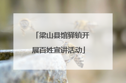 梁山县馆驿镇开展百姓宣讲活动
