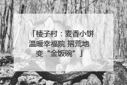 楼子村：麦香小饼温暖幸福院 撂荒地变“金饭碗”