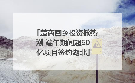 楚商回乡投资掀热潮 端午期间超60亿项目签约湖北