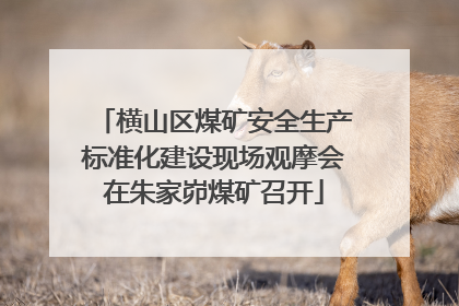 横山区煤矿安全生产标准化建设现场观摩会在朱家峁煤矿召开