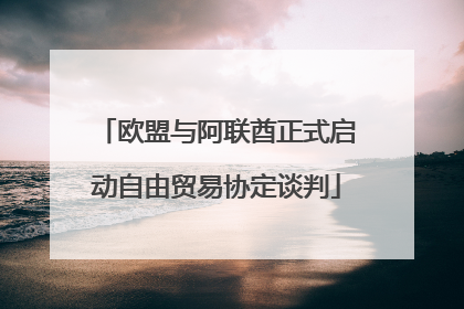 欧盟与阿联酋正式启动自由贸易协定谈判