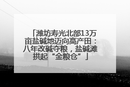 潍坊寿光北部13万亩盐碱地迈向高产田：八年改碱夺粮，盐碱滩拱起“金粮仓”
