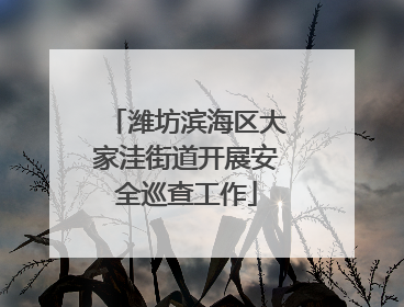 潍坊滨海区大家洼街道开展安全巡查工作