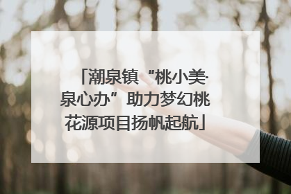 潮泉镇“桃小美·泉心办”助力梦幻桃花源项目扬帆起航