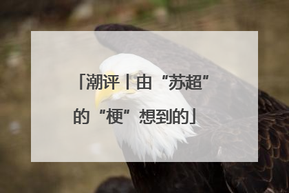 潮评丨由“苏超”的“梗”想到的