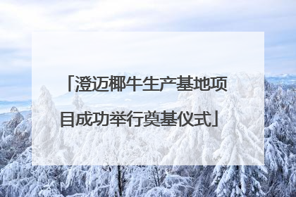 澄迈椰牛生产基地项目成功举行奠基仪式