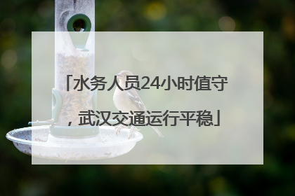 水务人员24小时值守，武汉交通运行平稳