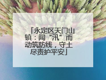 永定区天门山镇：闻“汛”而动筑防线，守土尽责护平安